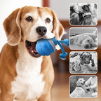 Arenzza electronic pet soothing toy ball with interactive features, designed for engaging and calming pets during playtime.