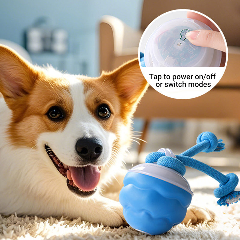 Arenzza interactive electronic pet soothing toy ball with colorful lights and textured surface for engaging pets.