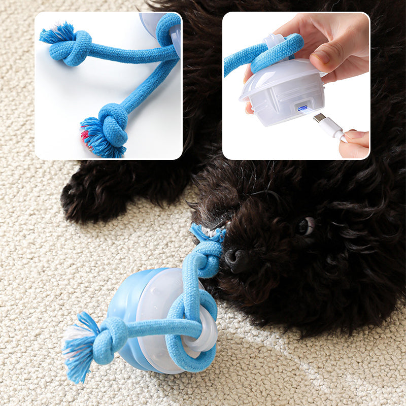 Arenzza interactive electronic pet soothing toy ball with colorful lights and textured surface for engaging pets.