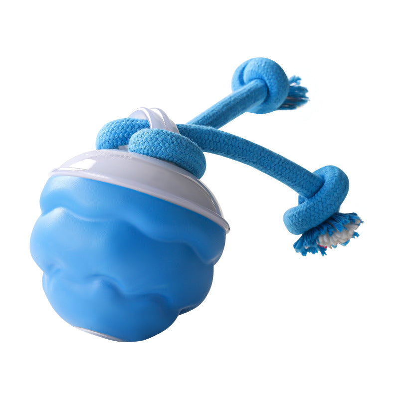 Arenzza interactive electronic pet soothing toy ball with colorful lights and textured surface, designed for engaging pets.