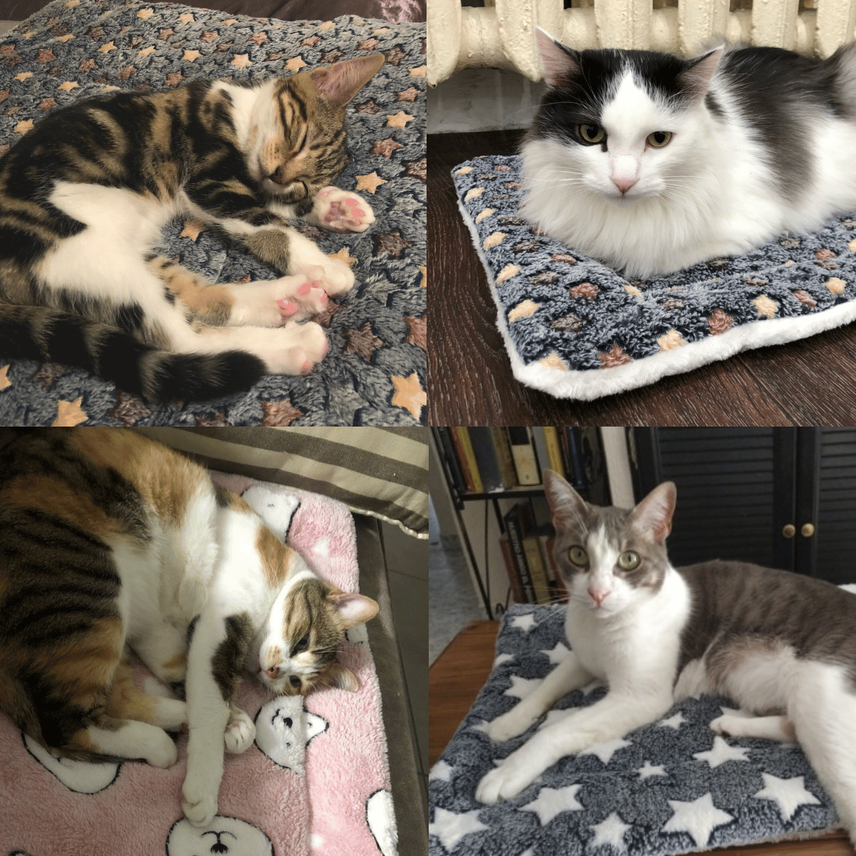 Arenzza super cozy calming pet blanket for cats, soft and plush, perfect for keeping pets warm and relaxed.