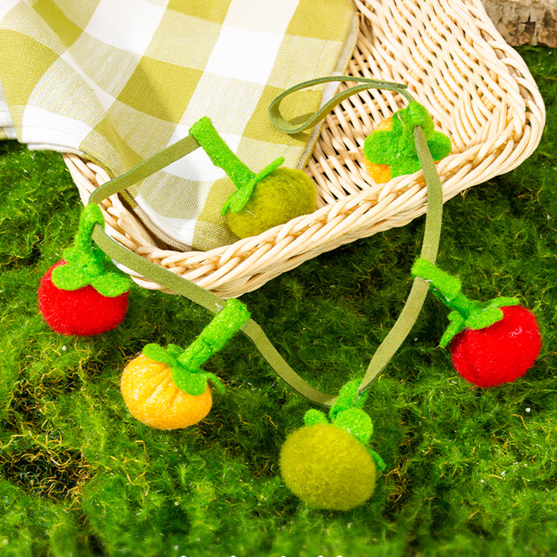Aarenza fruit-shaped catnip toy on string, colorful pet supplies designed to entertain cats with interactive, fruit-inspired design
