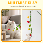 Aarenza interactive fruit-shaped catnip toy string for cats, featuring colorful fruit designs and playful textures.