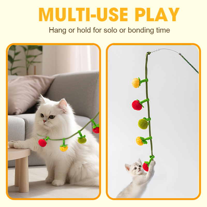Aarenza interactive fruit-shaped catnip toy string for cats, featuring colorful fruit designs and playful textures.