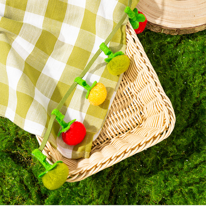Arenzza interactive fruit-shaped catnip toy with string for cats, colorful and designed to engage feline play and curiosity.