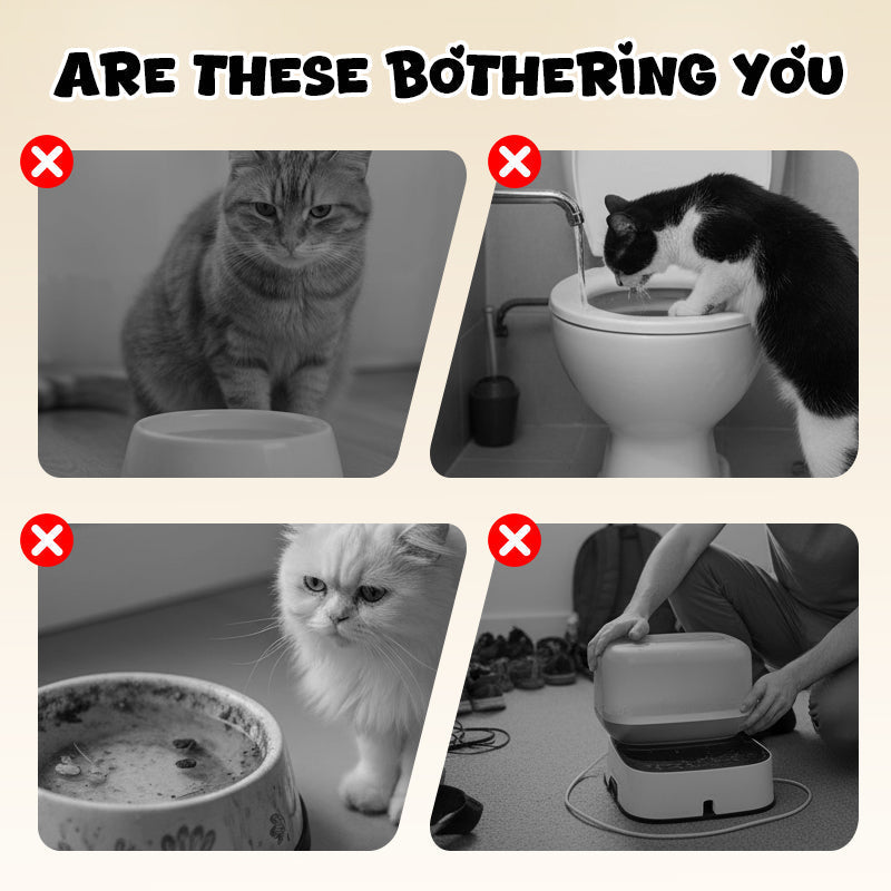 A wall-mounted toilet-shaped cat bowl from Arenzza, designed for pet feeding, with a realistic toilet design and clean white finish.