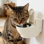 A wall-mounted cat bowl shaped like a toilet, made by Arenzza, designed for pet feeding and easy wall installation.