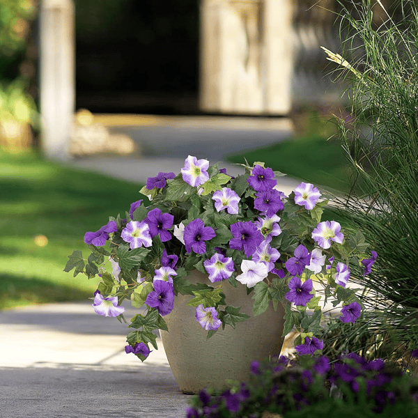 Artificial petunias by Arenzza, weatherproof floral display featuring vibrant, lifelike purple petunias in a natural arrangement.