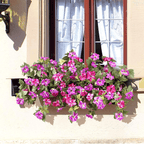 Artificial Petunias by Arenzza, weatherproof floral display with vibrant, lifelike purple and pink petunia flowers in a garden setting.