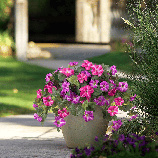 Colorful lifelike artificial petunias by Arenzza in a weatherproof floral display, showcasing vibrant, realistic-looking flowers.