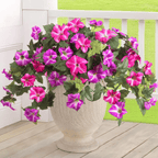 Colorful artificial petunias from Arenzza, weatherproof floral display with lifelike petals for outdoor or indoor decoration.