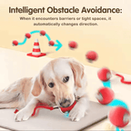 Aarenzza PawSpin™ smart interactive rolling ball for cats and dogs, featuring colorful design and textured surface for pet play.