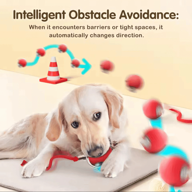 Aarenzza PawSpin™ smart interactive rolling ball for cats and dogs, featuring colorful design and textured surface for pet play.