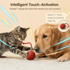 Aarenza PawSpin™ Smart Interactive Rolling Ball for Cats and Dogs, colorful plastic toy designed for pet play and entertainment.