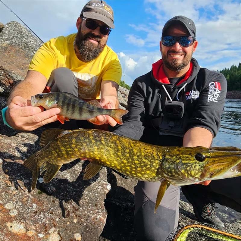 Aarenza 24 Days Lures Advent Calendar for sports and outdoor fishing enthusiasts, featuring 24 lure compartments on a festive display.