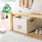 Arenzza fabric shoe organizer storage box with multiple compartments for organizing shoes and accessories.