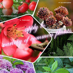 Arenzza organic slow-release fertilizer tablets for home gardening, shown as green tablets in a gardening context.