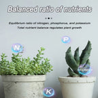 Arenzza organic slow-release fertilizer tablets for home gardening, shown as small round tablets ready for plant nourishment.