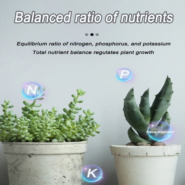 Arenzza organic slow-release fertilizer tablets for home gardening, shown as small round tablets ready for plant nourishment.
