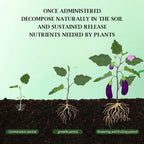 Arenzza organic slow-release fertilizer tablets for home gardening, shown in a garden setting with tablets in a container.
