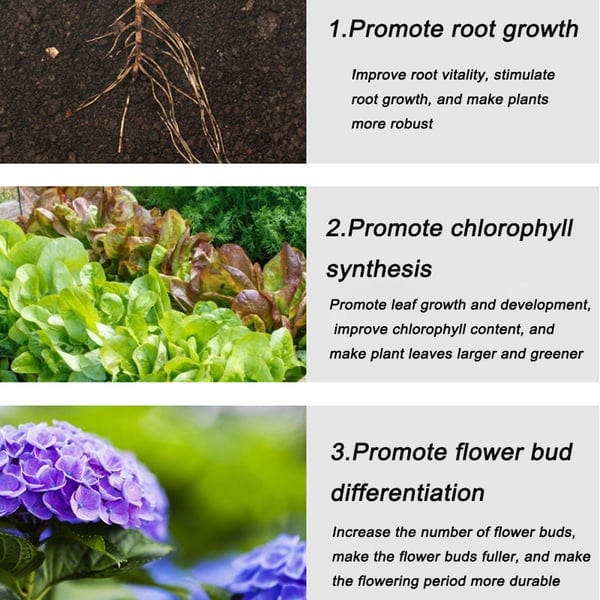 Arenzza organic slow-release fertilizer tablets for home gardening, designed to nourish plants gradually and promote healthy growth.