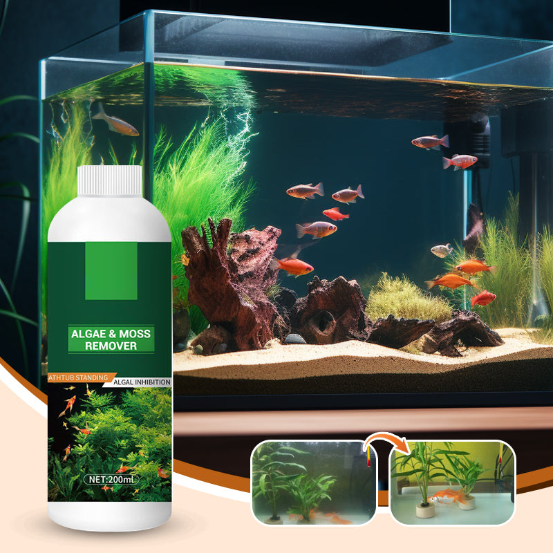 Arenzza algae and moss remover tool for fish tanks, designed for safe water purification and cleaning aquarium surfaces.