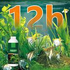 Arenzza algae and moss remover tool for fish tanks, designed for safe water purification and effective cleaning of algae and moss.