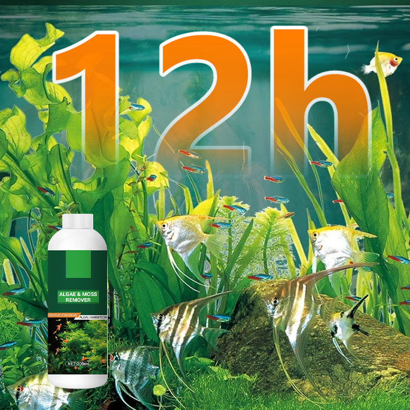 Arenzza algae and moss remover tool for fish tanks, designed for safe water purification and effective cleaning of algae and moss.