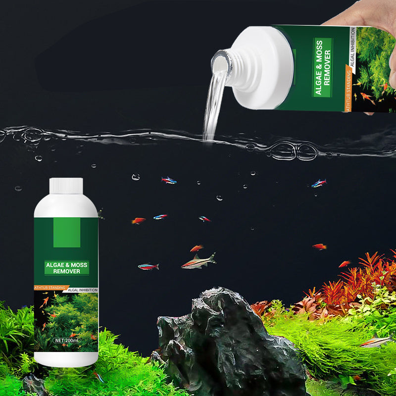 Arenzza algae and moss remover tool for fish tanks, designed for safe water purification and algae removal in aquatic environments.