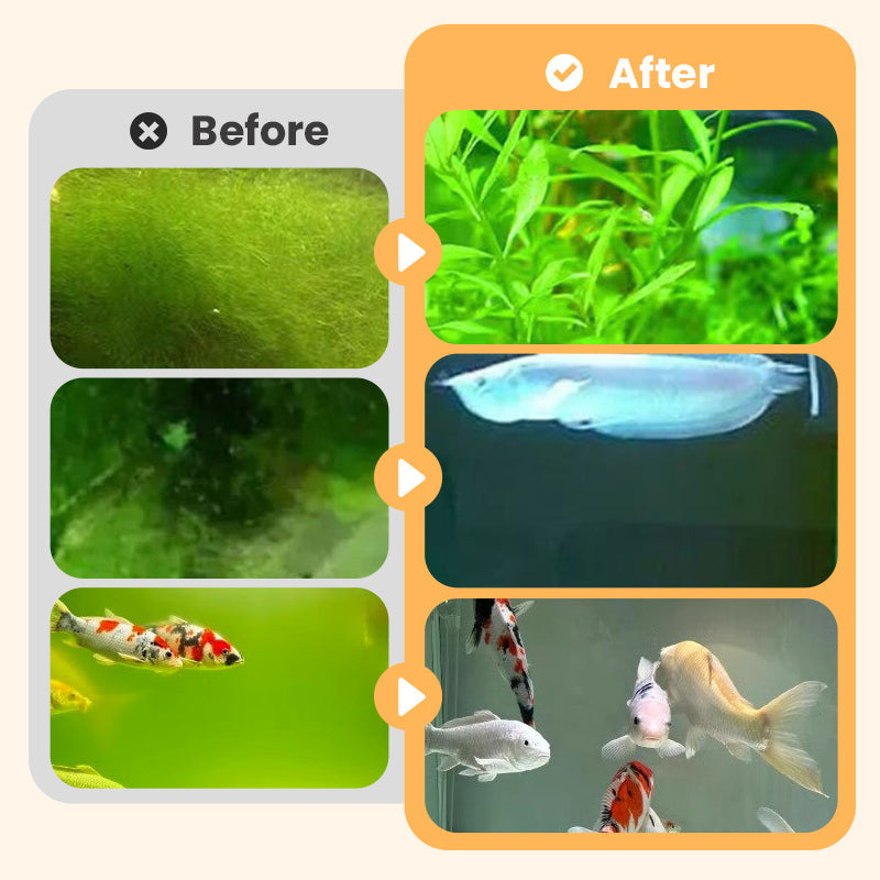 Arenzza algae and moss remover tool for fish tanks, designed for safe water purification with a cleaning brush and algae removal features.