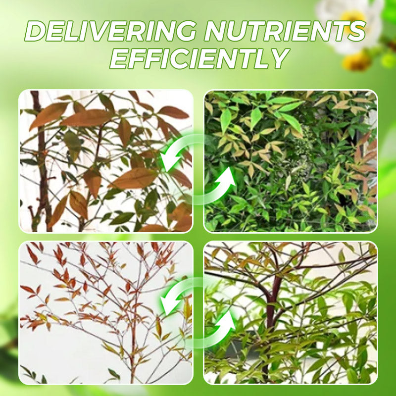 Arenzza All-Purpose Plant Liquid Fertilizer bottle in a garden setting, ready for use with no dilution required.