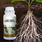 Arenzza Rapid Strong Rooting Fertilizer in a green and white container, designed for tools and gardening to promote healthy plant roots.