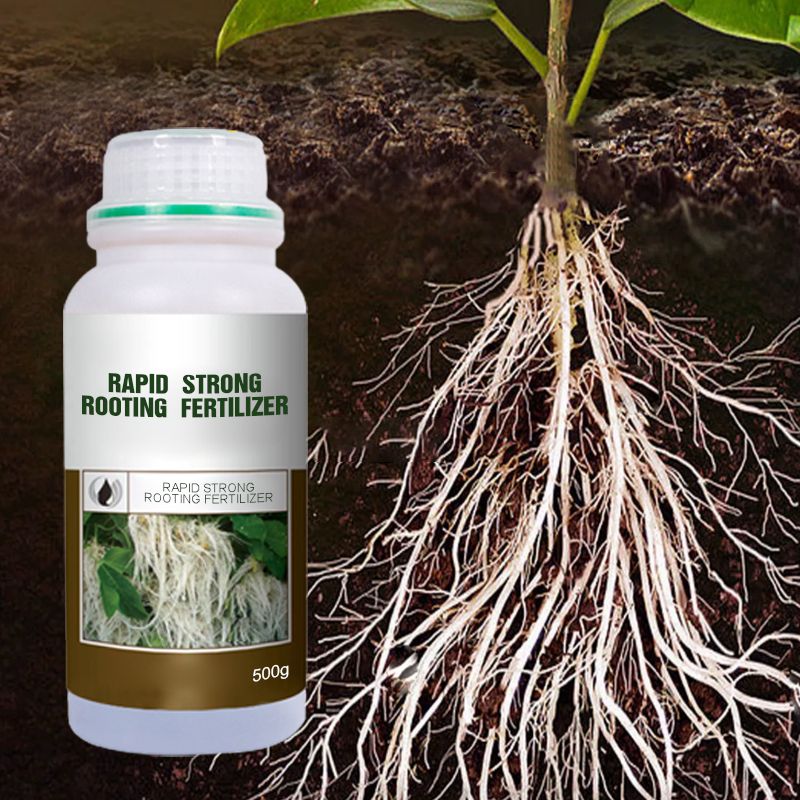 Arenzza Rapid Strong Rooting Fertilizer in a green and white container, designed for tools and gardening to promote healthy plant roots.