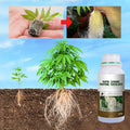 Arenzza Rapid Strong Rooting Fertilizer container for gardening, shown with label and garden tools in the background.