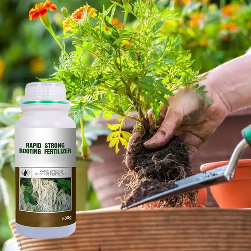Arenzza Rapid Strong Rooting Fertilizer in a garden tool container, designed to promote healthy plant root growth.