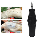 Arenzza electric poultry plucker tool for quick bird skin removal, designed for tools and garden use.