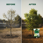 Arenzza Tree Drip Nutrient Solution for plant recovery, shown in a garden setting with gardening tools and healthy trees.