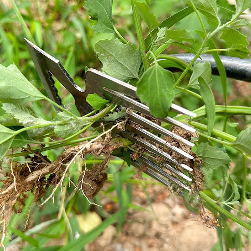 Arenzza manual weed remover tool for lawn and garden, showing a hand holding the metal tool with green grass in the background.