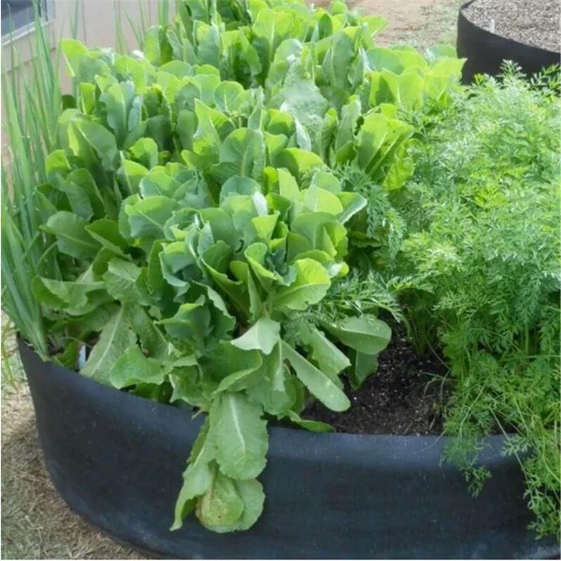 Arenzza fabric round raised garden bed planter for herbs, flowers, vegetables, and potatoes, ideal for outdoor gardening.