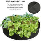 Arenzza fabric round raised garden bed planter for herbs, flowers, vegetables, and potatoes in a lush garden setting.