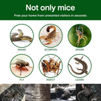 Arenzza eco-friendly single-layer woven mouse glue pad, high-strength tool for garden or pest control, shown on a clean surface.