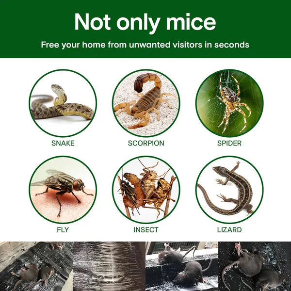 Arenzza eco-friendly single-layer woven mouse glue pad, high-strength tool for garden or pest control, shown on a clean surface.