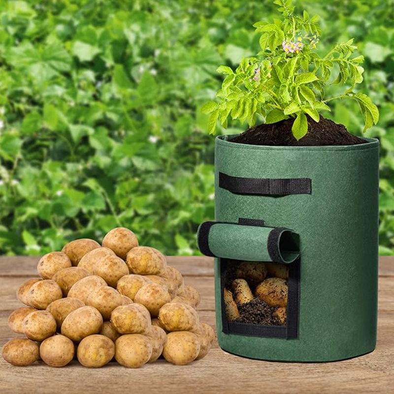 Aarenza fabric potato grow bag with harvest window, durable gardening tool for growing potatoes and vegetables outdoors.