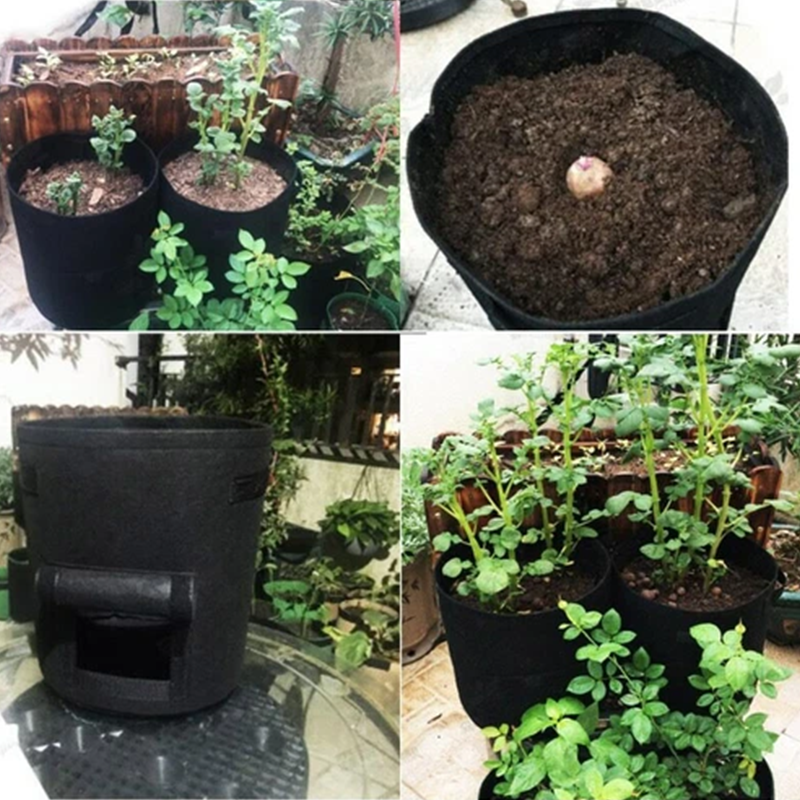 Aarenza fabric potato grow bag with harvest window, reusable garden tool for growing potatoes and vegetables in a durable fabric.