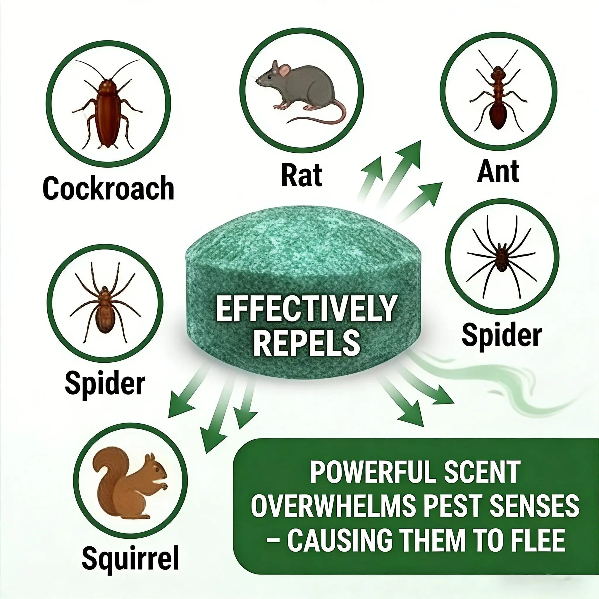 Arenzza pest repellent tools for indoor and outdoor use, safe for pets and wildlife, with a sleek design and compact size.