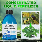 Arenzza All-in-One Plant Regeneration Concentrate bottle, gardening tools and lush green plants in the background.