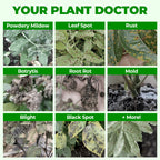 Arenzza All-in-One Plant Regeneration Concentrate in a garden bottle, ideal for tools and garden plant care.