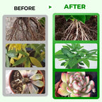 Arenzza all-in-one plant regeneration concentrate in a garden tool bottle, designed for revitalizing and nourishing plants.