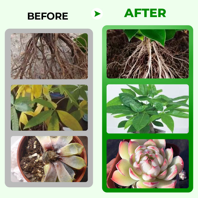 Arenzza all-in-one plant regeneration concentrate in a garden tool bottle, designed for revitalizing and nourishing plants.