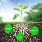 Arenzza All-in-One Plant Regeneration Concentrate in a green bottle, ideal for tools and garden plant care, shown on a garden table